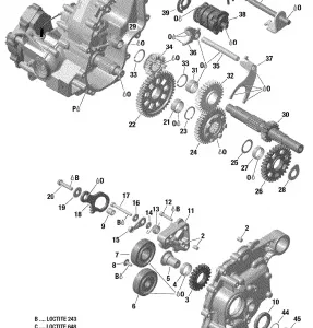 01- Коробка передач и компоненты - 1000R EFI