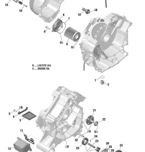 01- Система смазки двигателя - 570 EFI (Package PRO)