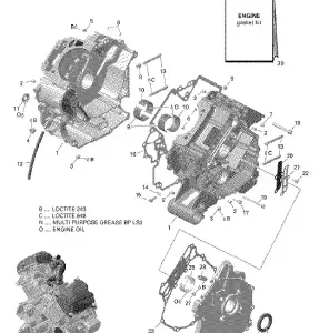 01- Картер - 650 EFI (Package PRO)