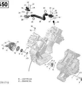 01- Охлаждение - 650 EFI