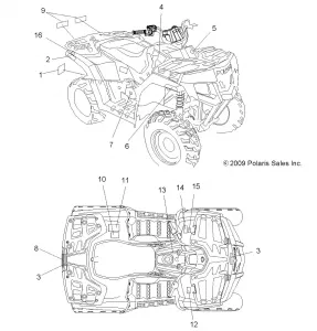 BODY, Наклейки - A11LB27AA (49ATVDECAL10HAWK)