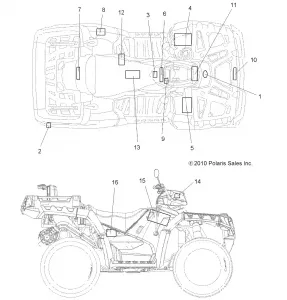 BODY, Наклейки - A11TN55FA (49ATVDECAL11SPX2550I)