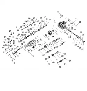 DRIVE TRAIN, MAIN GEARCASE INTERNALS - Z15VFE99AT/AV/AP (49RGRGEARCASE1510004)