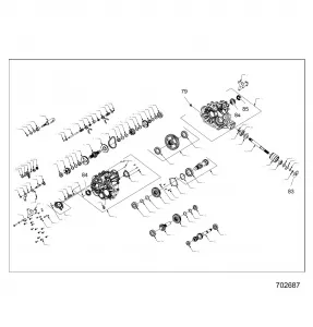 DRIVE TRAIN, MAIN GEARCASE INTERNALS - Z21A4E99AX/BX(702687)