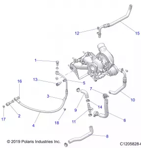 ENGINE, TURBO, Охлаждение AND OIL - Z21R4U92AN/BN (C1205828-6)