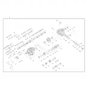 DRIVE TRAIN, MAIN GEARCASE INTERNALS - Z21NAM99AG (702685)