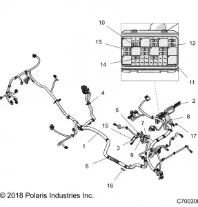 ELECTRICAL, WIRE HARNESS - Z21NAM99AG (C700306)