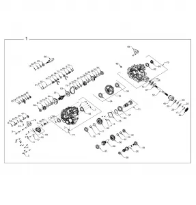 DRIVE TRAIN, MAIN GEARCASE INTERNALS - Z22NAK99AK/AR/BK/BR/NAV99AK/AR/BK/BR (702682)