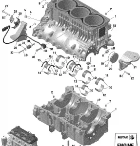 01- Картер - 300