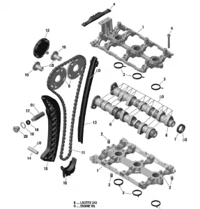 01- Camshafts And Timing Chain _05R1555