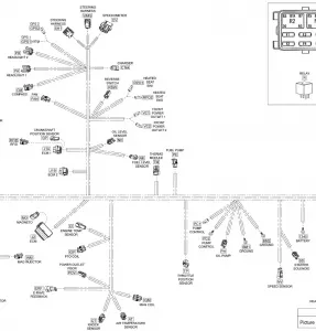 10- Electrical Harness - 800R E-TEC