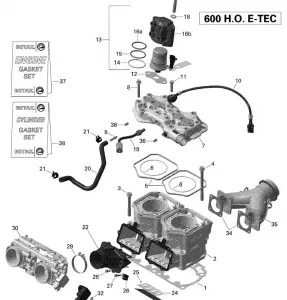 01- Cylinder and Injection System - 600HO E-TEC