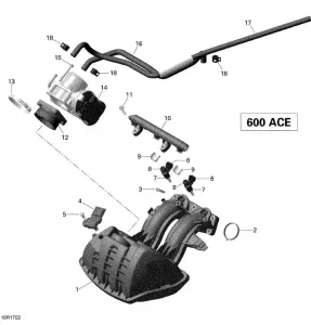 02- Впускной коллектор и дроссельная заслонка - 600 ACE