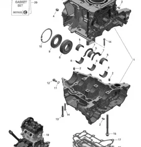 01- Картер - 600 ACE