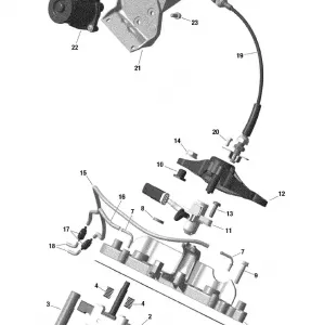 01- Rotax - Rave Valve - NA