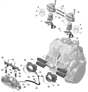 01- ROTAX - Electronic Топливная система Injection