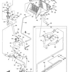 RADIATOR HOSE