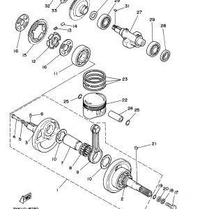 CRANKSHAFT PISTON