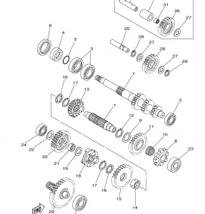 TRANSMISSION