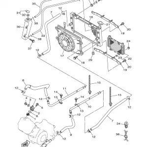 RADIATOR HOSE