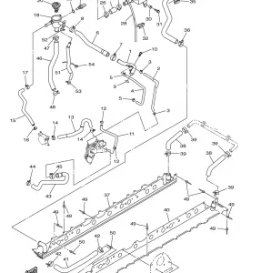 RADIATOR HOSE