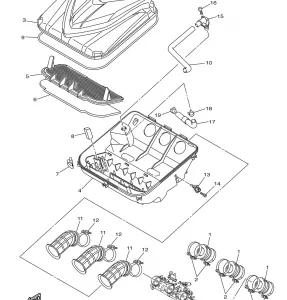 INTAKE