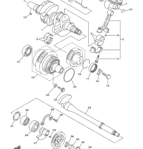 CRANKSHAFT PISTON