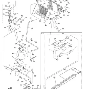 RADIATOR HOSE