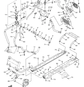 RADIATOR HOSE