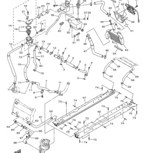 RADIATOR HOSE