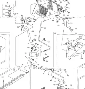 RADIATOR HOSE