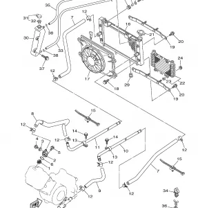 RADIATOR HOSE