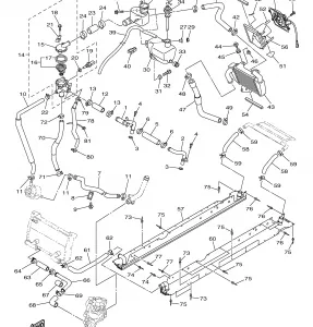 RADIATOR HOSE