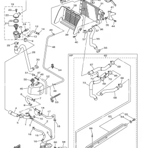 RADIATOR HOSE