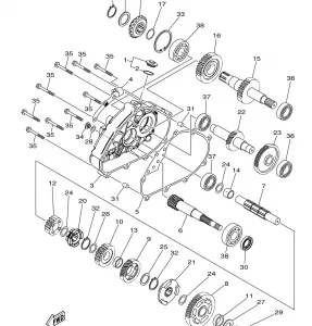 TRANSMISSION