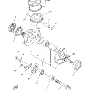 CRANKSHAFT PISTON