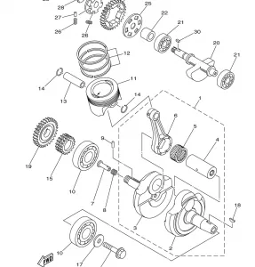 CRANKSHAFT PISTON