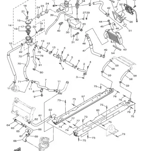 RADIATOR HOSE