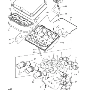 INTAKE