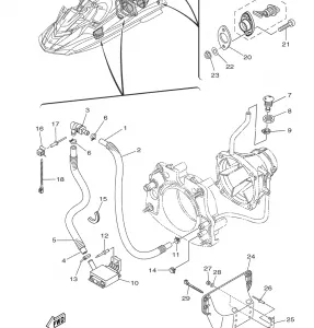 HULL and DECK