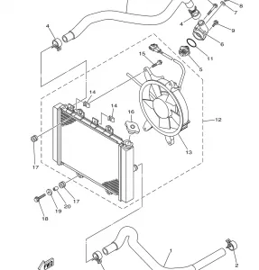 RADIATOR HOSE