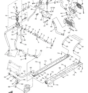 RADIATOR HOSE