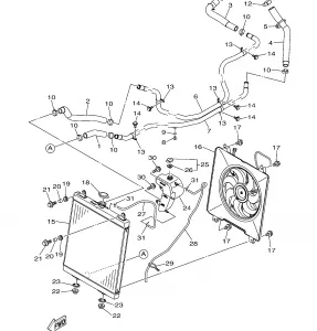 RADIATOR HOSE