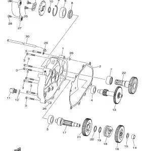 TRANSMISSION