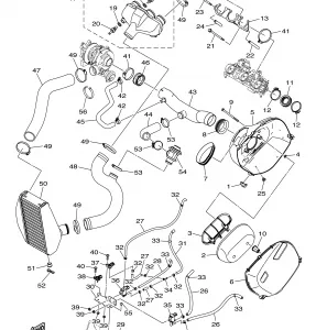 INTAKE