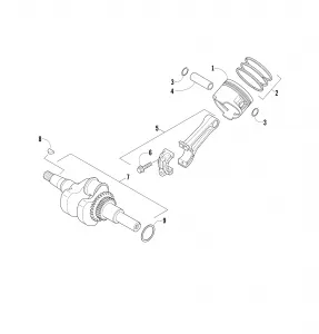 CRANKSHAFT PISTON