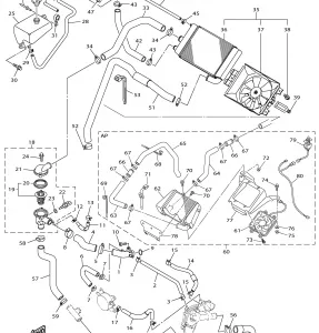 RADIATOR HOSE