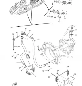 HULL and DECK