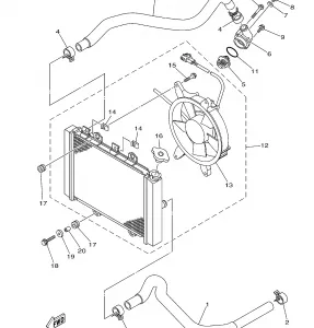 RADIATOR HOSE