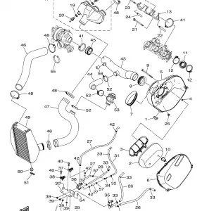 INTAKE